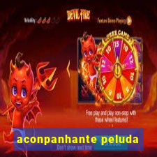 aconpanhante peluda